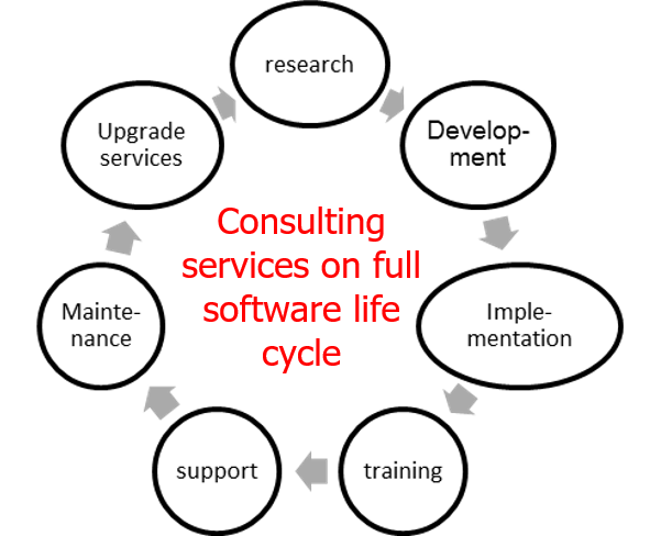 Software life cycle